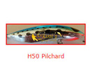 PILCHARD (H50)